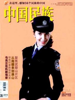 中国民族期刊封面