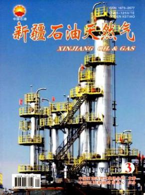 新疆石油天然气期刊封面