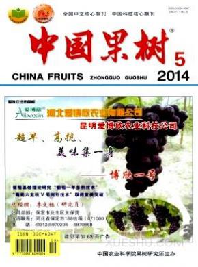 中国果树期刊封面