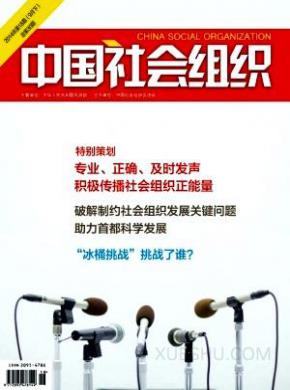中国社会组织期刊封面