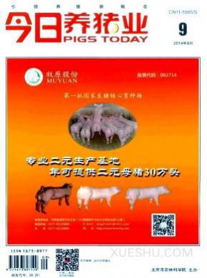 今日养猪业期刊封面