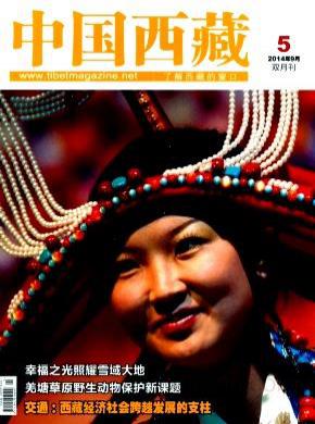 中国西藏发表论文