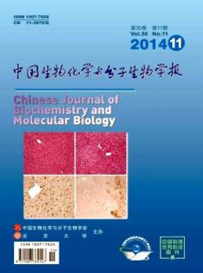 中国生物化学与分子生物学报论文投稿