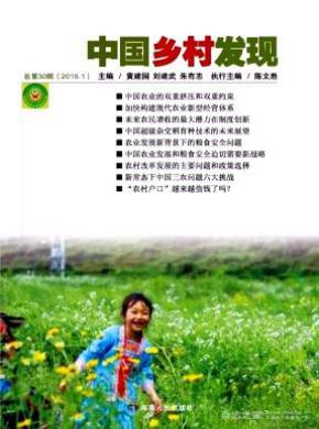 中国乡村发现期刊封面