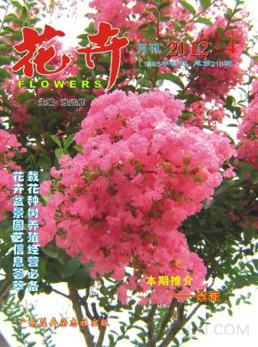 花卉期刊封面