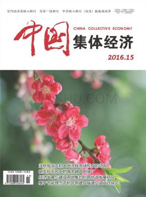 中国集体经济期刊封面