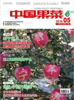 中国果菜期刊封面