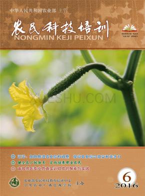 农民科技培训期刊封面