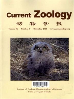 Current Zoology期刊封面